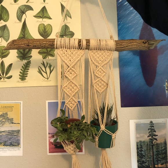 Macrame plant holder - Picture 2 of 2